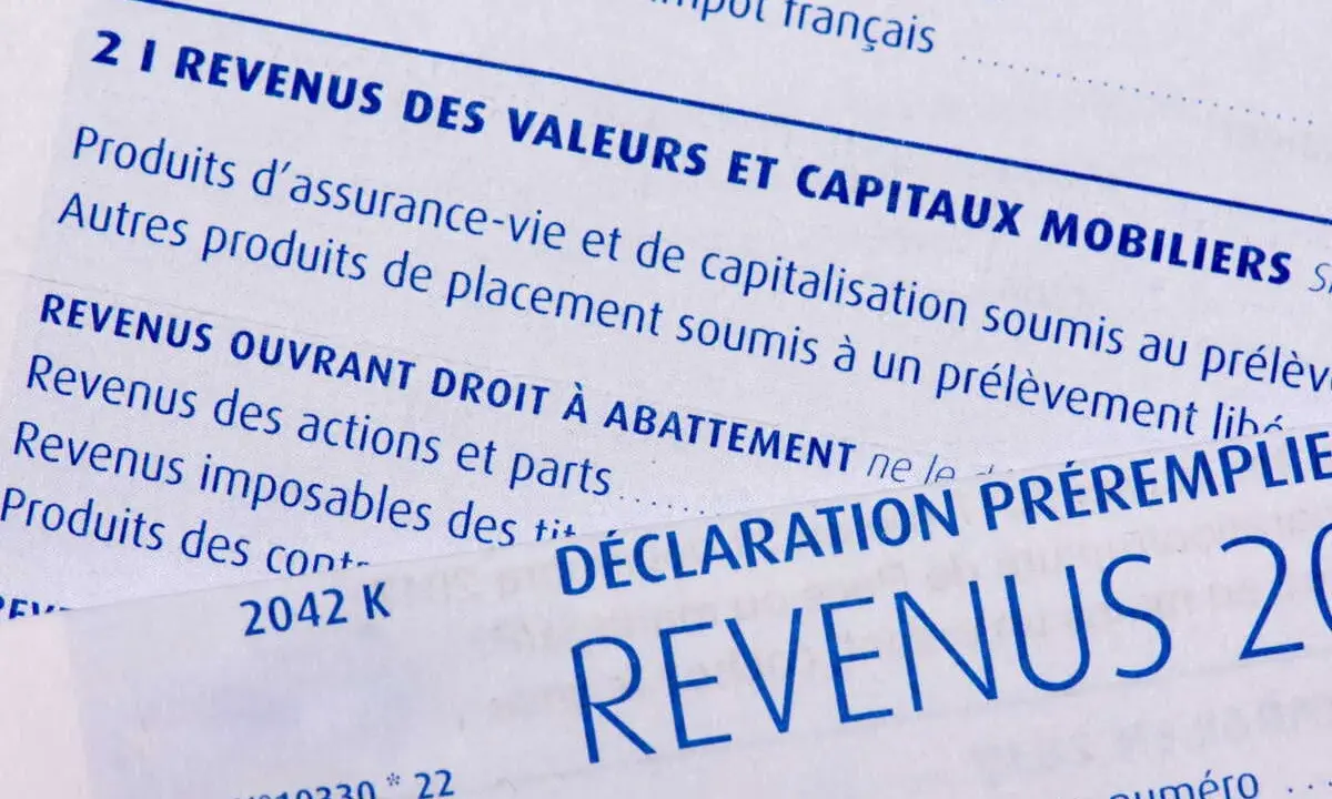 Détail d'une déclaration de revenus, mentionnant les prélèvements sociaux sur revenus fonciers calcul.