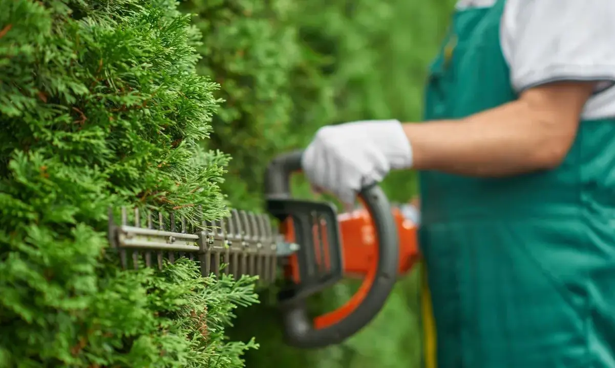 Taille d'une haie avec un taille-haie. Idéal pour l'entretien de votre jardin, même pour une résidence secondaire. Pensez au crédit d'impôt entretien jardin.