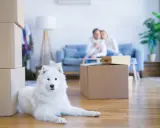 Un chien blanc se repose près de cartons. Un couple est assis sur un canapé en arrière-plan. La question "peut on interdire les animaux dans une location" se pose.