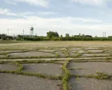 Vaste terrain vague avec des dalles de béton craquelées envahies par l'herbe. Idéal pour réfléchir à ce que peut on faire sur un terrain non constructible.