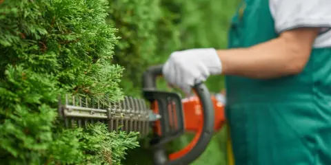 Taille d'une haie avec un taille-haie. Idéal pour l'entretien de votre jardin, même pour une résidence secondaire. Pensez au crédit d'impôt entretien jardin.