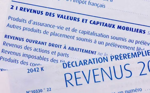 Détail d'une déclaration de revenus, mentionnant les prélèvements sociaux sur revenus fonciers calcul.