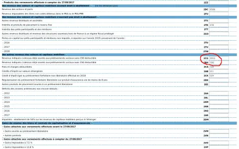 Revenus mobiliers avec CSG déductible (2CG 3955) et autres produits (2BH 100). Case 20P à cocher pour option fiscale.