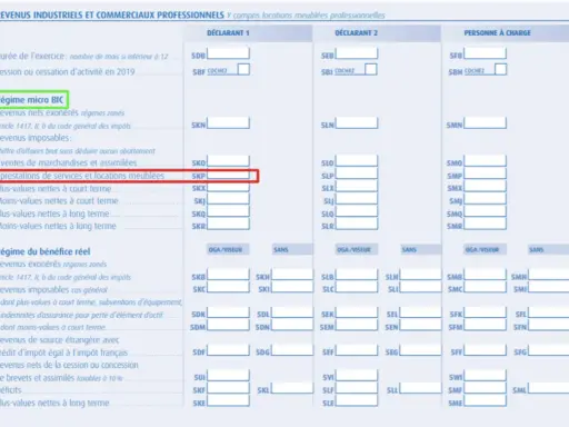 Déclaration fiscale : ligne "prestations de services et locations meublées" sous le régime micro BIC, pour des revenus fonciers ou loyers, avec ou sans charges.