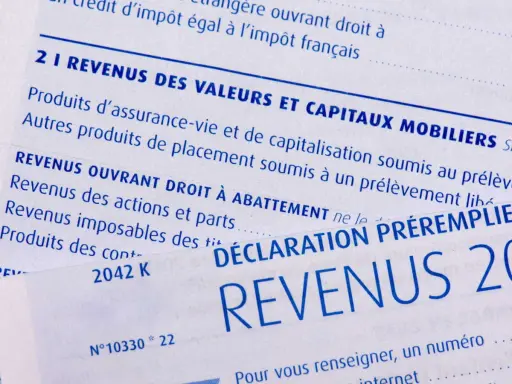 Détail d'une déclaration de revenus, mentionnant les prélèvements sociaux sur revenus fonciers calcul.