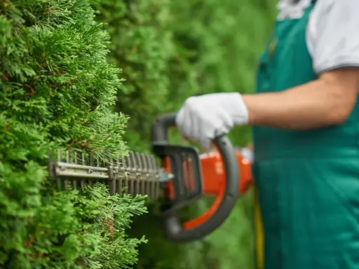 Taille d'une haie avec un taille-haie. Idéal pour l'entretien de votre jardin, même pour une résidence secondaire. Pensez au crédit d'impôt entretien jardin.
