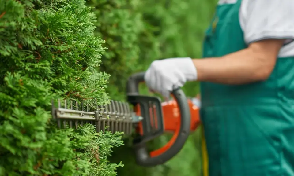 Taille d'une haie avec un taille-haie. Idéal pour l'entretien de votre jardin, même pour une résidence secondaire. Pensez au crédit d'impôt entretien jardin.