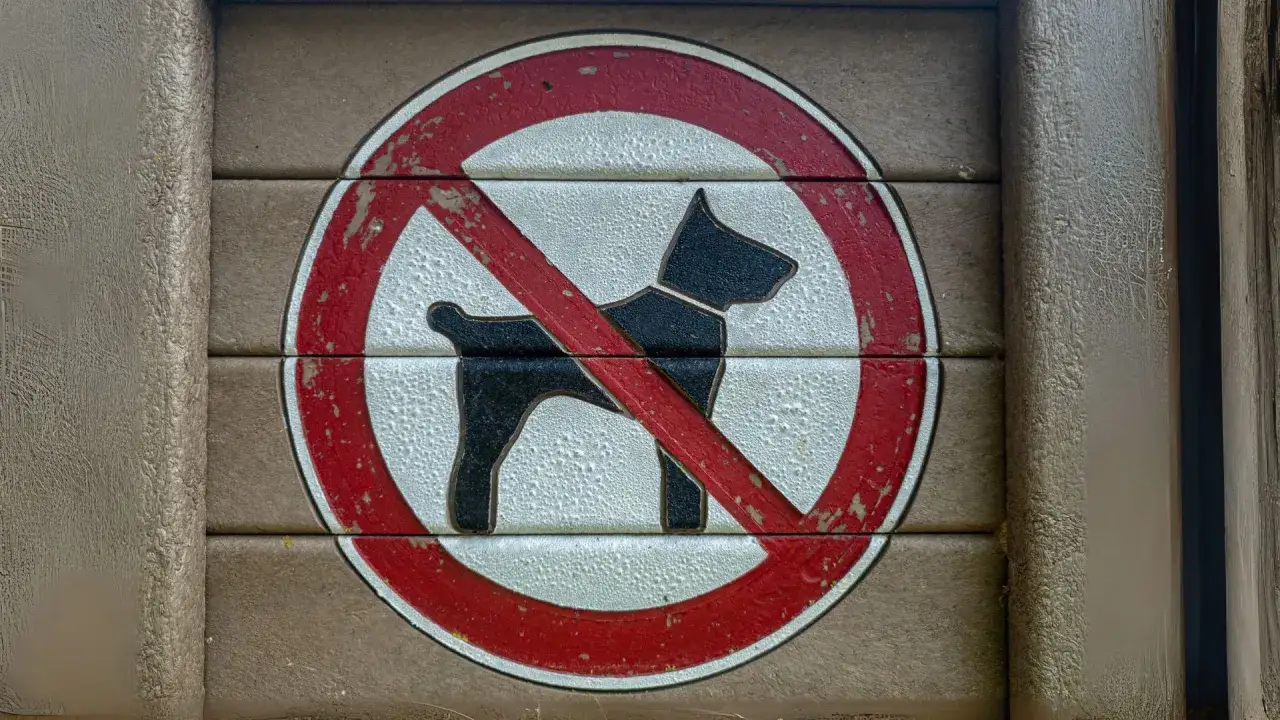 Panneau interdisant les animaux. Une question fr&eacute;quente : peut-on interdire les animaux dans une location ? Ce panneau indique clairement la r&eacute;ponse pour ce lieu.