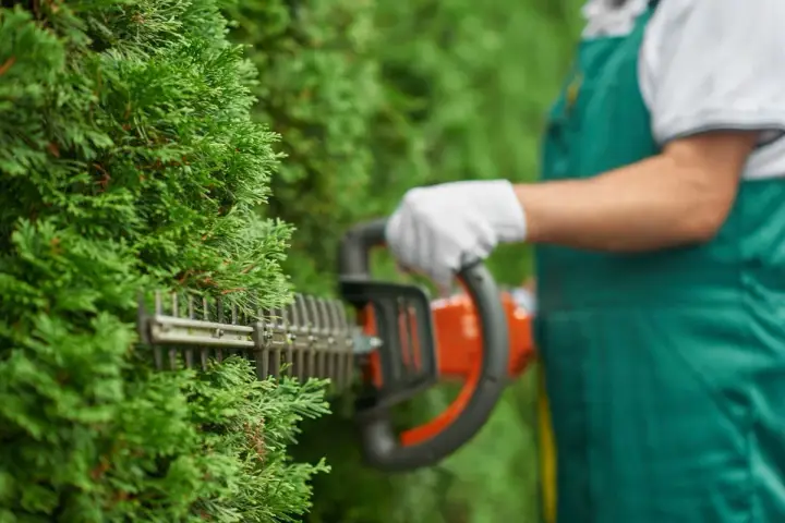 Taille d'une haie avec un taille-haie. Idéal pour l'entretien de votre jardin, même pour une résidence secondaire. Pensez au crédit d'impôt entretien jardin.